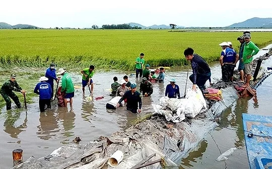 PM urges active flood response in Mekong Delta and northern region