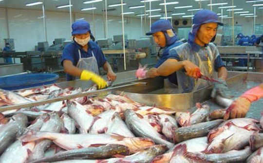 Thị trường xuất khẩu cá tra có mức tăng trưởng đột phá trong năm 2018