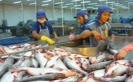 Thị trường xuất khẩu cá tra có mức tăng trưởng đột phá trong năm 2018