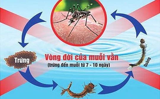 Tăng cường tuyên truyền phòng chống sốt xuất huyết trong trường học