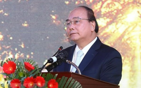 PM requests protection of Ngoc Linh ginseng as national brand