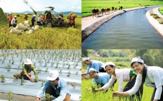 Cả nước có hơn 3.000 xã đạt chuẩn nông thôn mới