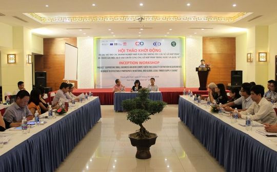 Thừa Thiên - Huế: Hỗ trợ các doanh nghiệp tuân thủ về cung ứng gỗ hợp pháp