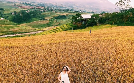 Sa Pa vào mùa lúa chín đẹp nhất năm