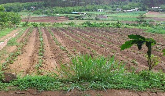 Chuyển mục đích sử dụng đất tại Nghệ An