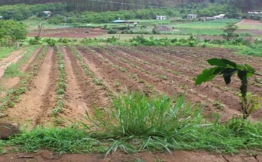 Chuyển mục đích sử dụng đất tại Nghệ An