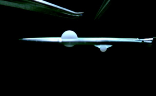 Ngược đời loại màng lọc chỉ cho vật thể lớn đi qua