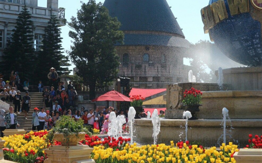 Cần gì đi Hà Lan, cả triệu bông tulip bung nở trên đỉnh Bà Nà Tết này