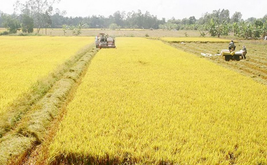 Chuyển mục đích sử dụng đất tại 2 tỉnh