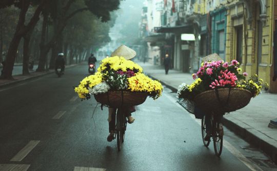 Dự báo thời tiết 11/1: Bắc Bộ có mưa phùn và sương mù