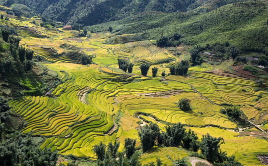 Báo chí thế giới ca ngợi  Sa Pa là Điểm phải đến trên Thế giới năm 2019