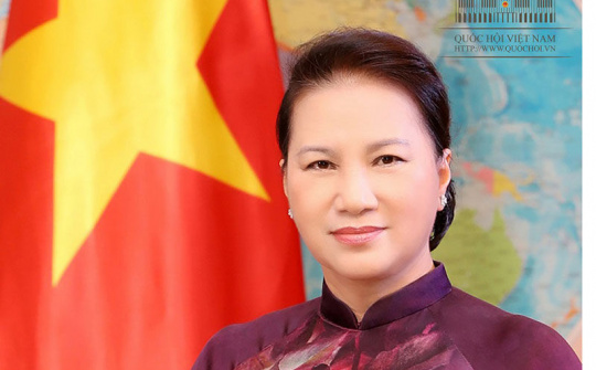 Chủ tịch Quốc hội trả lời phỏng vấn nhân dịp Xuân Kỷ Hợi 2019