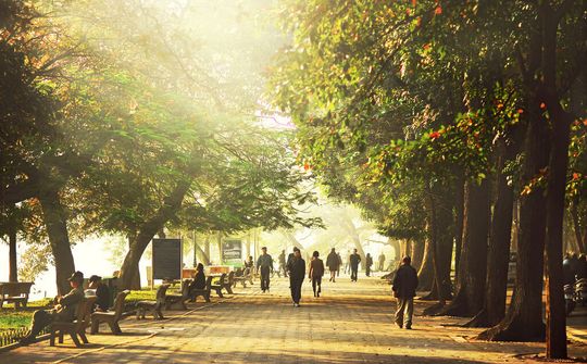 Dự báo thời tiết 13/1: Miền Bắc ấm lên, sáng sớm có sương mù 