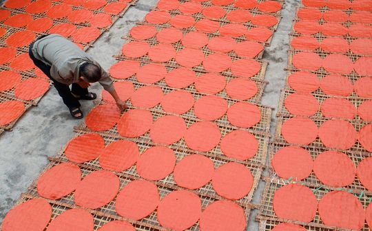 Bánh đa gấc Kẻ Sặt - hương vị miền quê xứ Đông