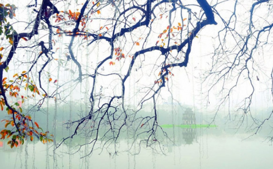 Dự báo thời tiết 14/1: Miền Bắc sắp chuyển rét đậm, rét hại 