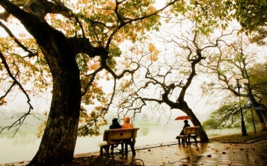 Dự báo thời tiết ngày 15/1:  Hà Nội mưa, rét trở lại