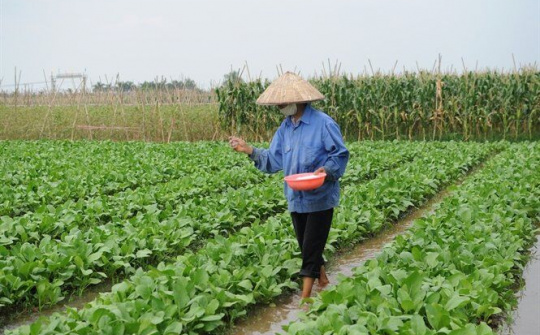 Có sự trùng lặp về công nhận lưu hành và công bố hợp quy phân bón?