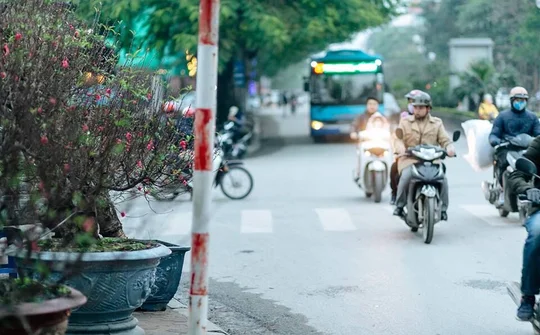 Dự báo thời tiết 17/1: Không khí lạnh đã bao trùm toàn miền Bắc