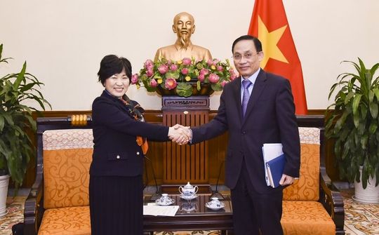 Nhật Bản mong muốn thúc đẩy quan hệ hợp tác thực chất và hiệu quả với Việt Nam