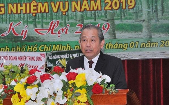 Phó Thủ tướng Trương Hòa Bình dự hội nghị triển khai nhiệm vụ năm 2019 của Tập đoàn Cao su