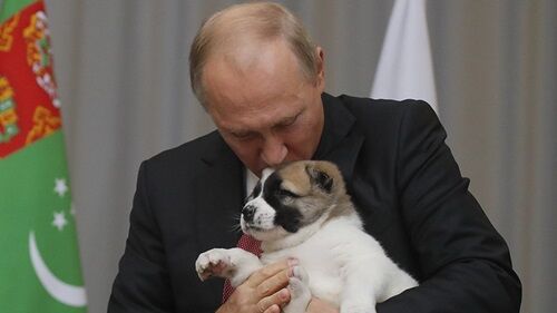 Putin được Tổng thống Serbia tặng chó chăn cừu