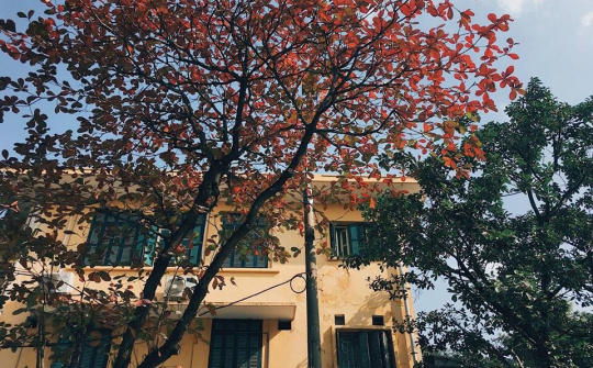 Dự báo thời tiết 19/1: Nền nhiệt Miền Bắc tăng dần trước khi đón không khí lạnh