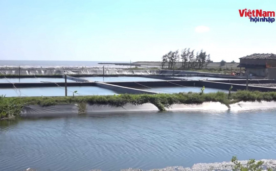 Huyện Giao Thủy có 'bỏ quên' trách nhiệm: Bài 5 - Biết sai… vẫn 'để' cho tồn tại?