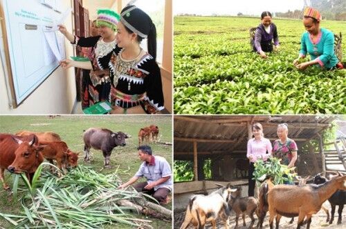 Tiêu chí xác định xã, thôn hoàn thành mục tiêu Chương trình 135
