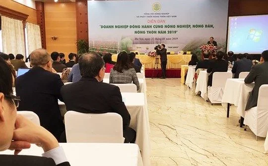 Thu hút thêm doanh nghiệp đầu tư vào nông nghiệp