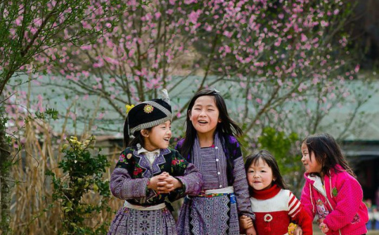 Dự báo thời tiết 24/1: Miền Bắc ban ngày hửng nắng, đêm vẫn rét đậm