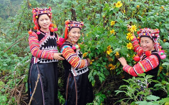 Xuân về trên điểm sáng vùng cao