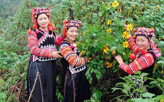 Xuân về trên điểm sáng vùng cao