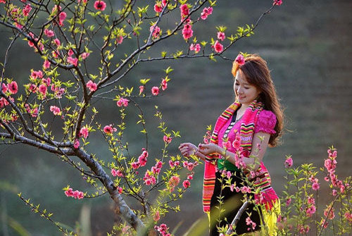 Dự báo thời tiết dịp Tết Nguyên đán Kỷ Hợi