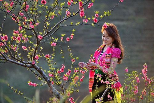 Dự báo thời tiết dịp Tết Nguyên đán Kỷ Hợi