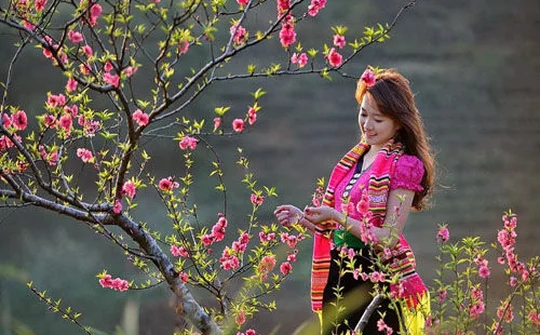 Dự báo thời tiết dịp Tết Nguyên đán Kỷ Hợi