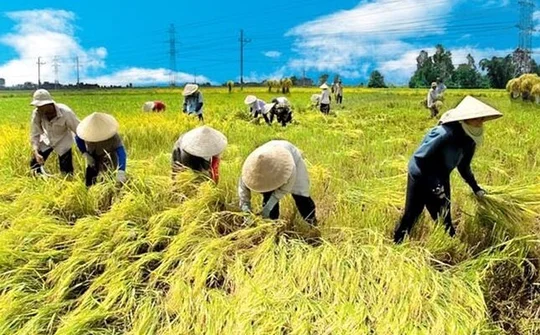 Tổ chức Hội nghị trực tuyến tổng kết ngành Nông nghiệp