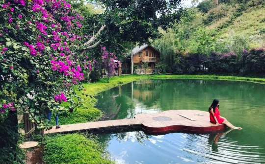 Hơn 132 nghìn du khách đến Đà Lạt dịp Tết Dương lịch