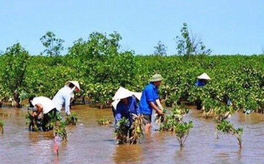 Xây dựng Chương trình hành động phát triển bền vững ĐBSCL thích ứng với biến đổi khí hậu