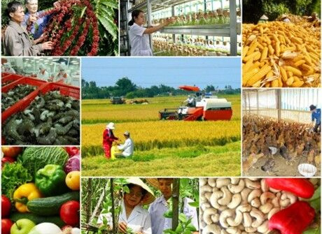 Năm 2019, ngành nông nghiệp phấn đấu xuất khẩu tối thiểu 43 tỷ USD