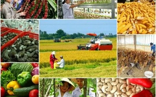 Năm 2019, ngành nông nghiệp phấn đấu xuất khẩu tối thiểu 43 tỷ USD