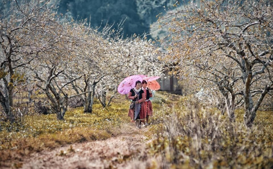 Quy hoạch chung xây dựng Khu du lịch quốc gia Mộc Châu