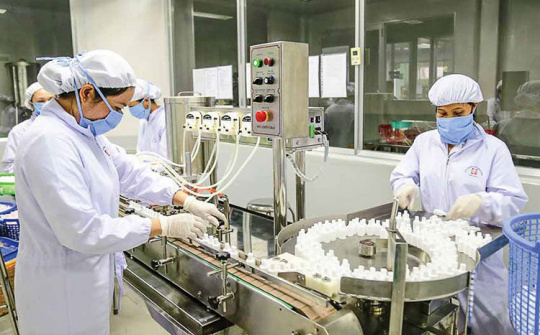 Các chính sách ưu đãi tín dụng cho doanh nghiệp ngành y tế