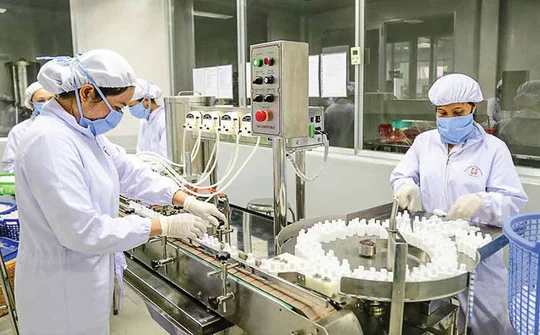 Các chính sách ưu đãi tín dụng cho doanh nghiệp ngành y tế