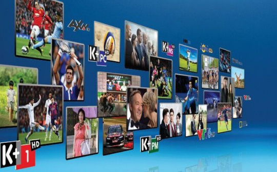 Kiểm toán Nhà nước sẽ vào cuộc làm rõ tài chính của K+ trước thoái vốn