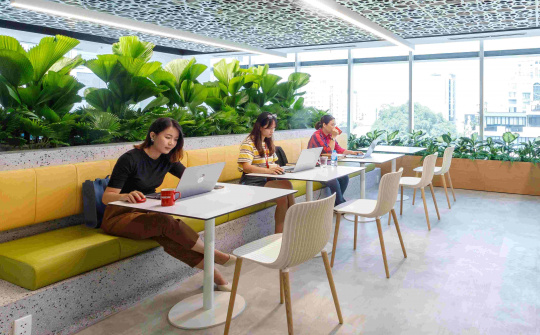 Nestlé Việt Nam tái định vị Thương hiệu nhà tuyển dụng để thu hút tài năng trẻ