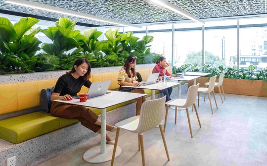 Nestlé Việt Nam tái định vị Thương hiệu nhà tuyển dụng để thu hút tài năng trẻ