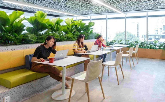 Nestlé Việt Nam tái định vị Thương hiệu nhà tuyển dụng để thu hút tài năng trẻ
