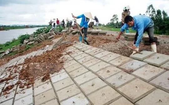 Thủ tướng chỉ thị tăng cường xử lý vi phạm pháp luật về đê điều