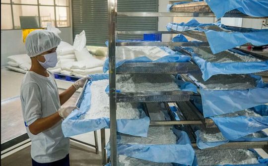 Quy trình sản xuất ống hút bột gạo ở miền Tây