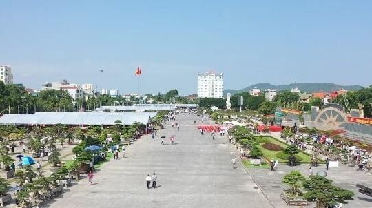 Hàng nghìn cây cảnh độc đáo được trưng bày tại Quảng trường Lam Sơn